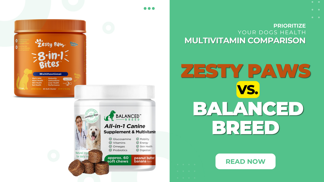 Zesty Paws Vs. Balanced Breed Multivitamins