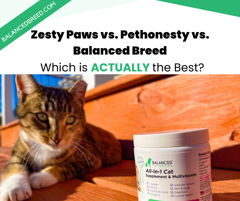 Zesty Paws vs Pethonesty vs Balanced Breed Pet Supplements