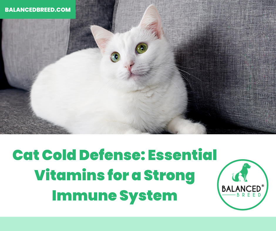 Cat Immune Health Vitamins for Cold Defense