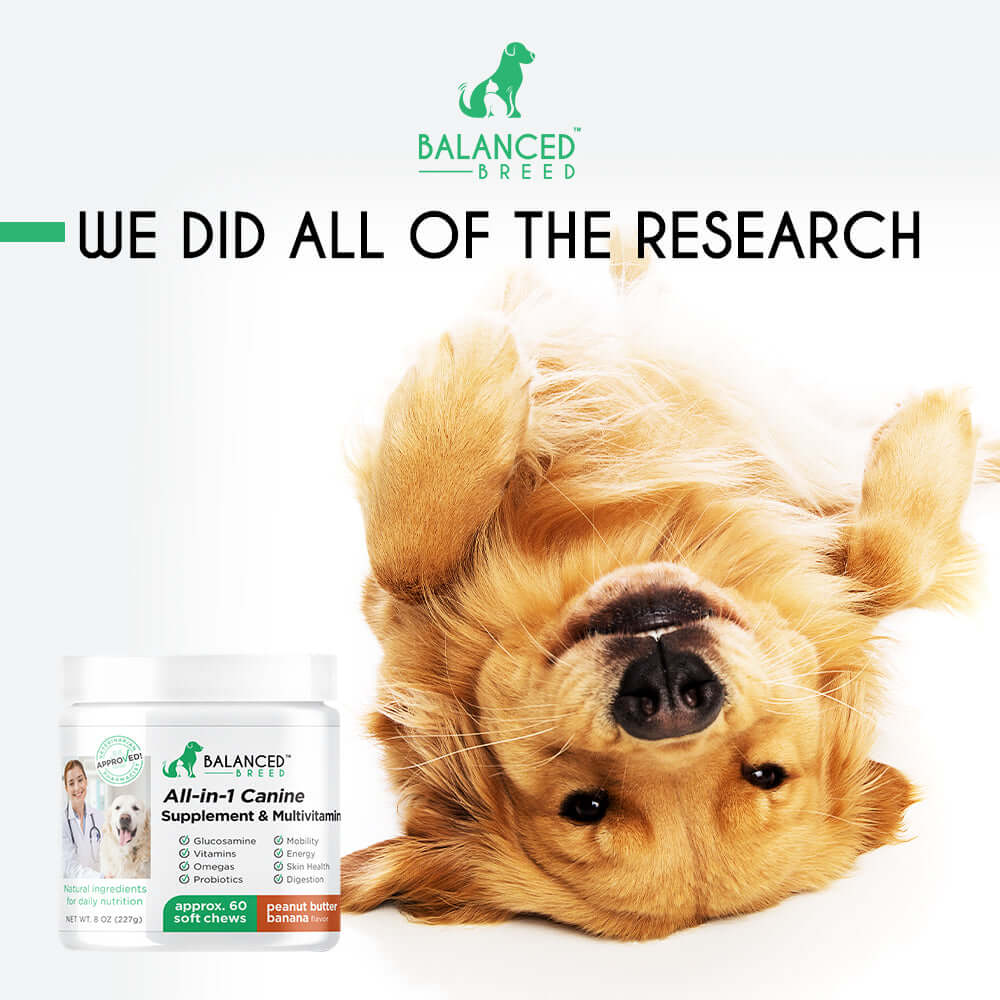 What Tests Are Done To Make Sure The Food Is Safe For My Pet?