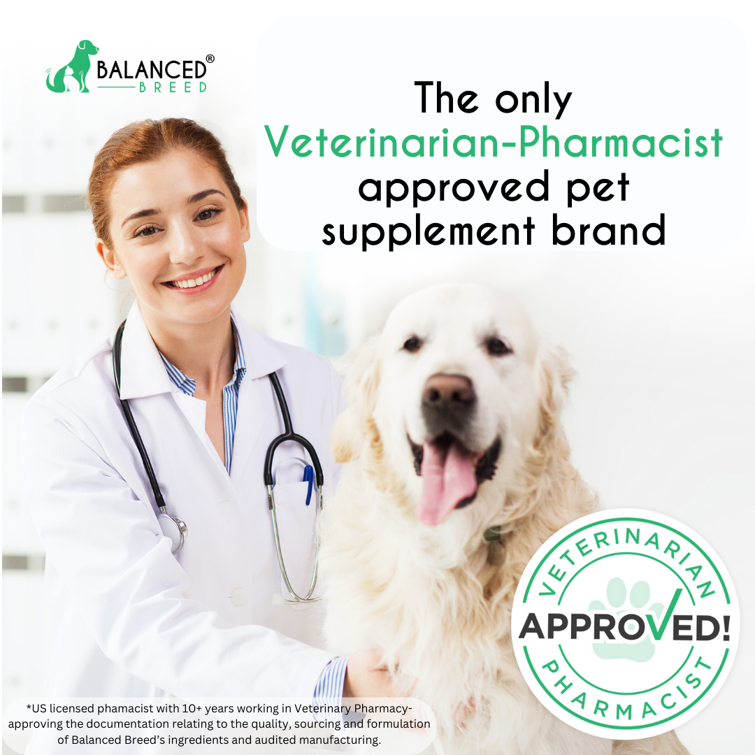 Balanced Breed® All-In-1 Canine Multivitamin - Balanced Breed