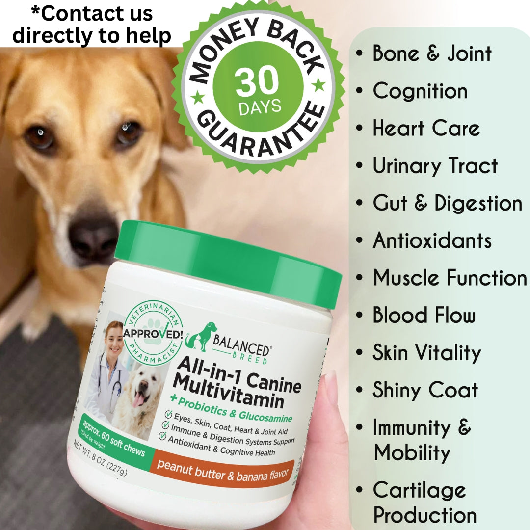 Balanced Breed® All-In-1 Canine Multivitamin