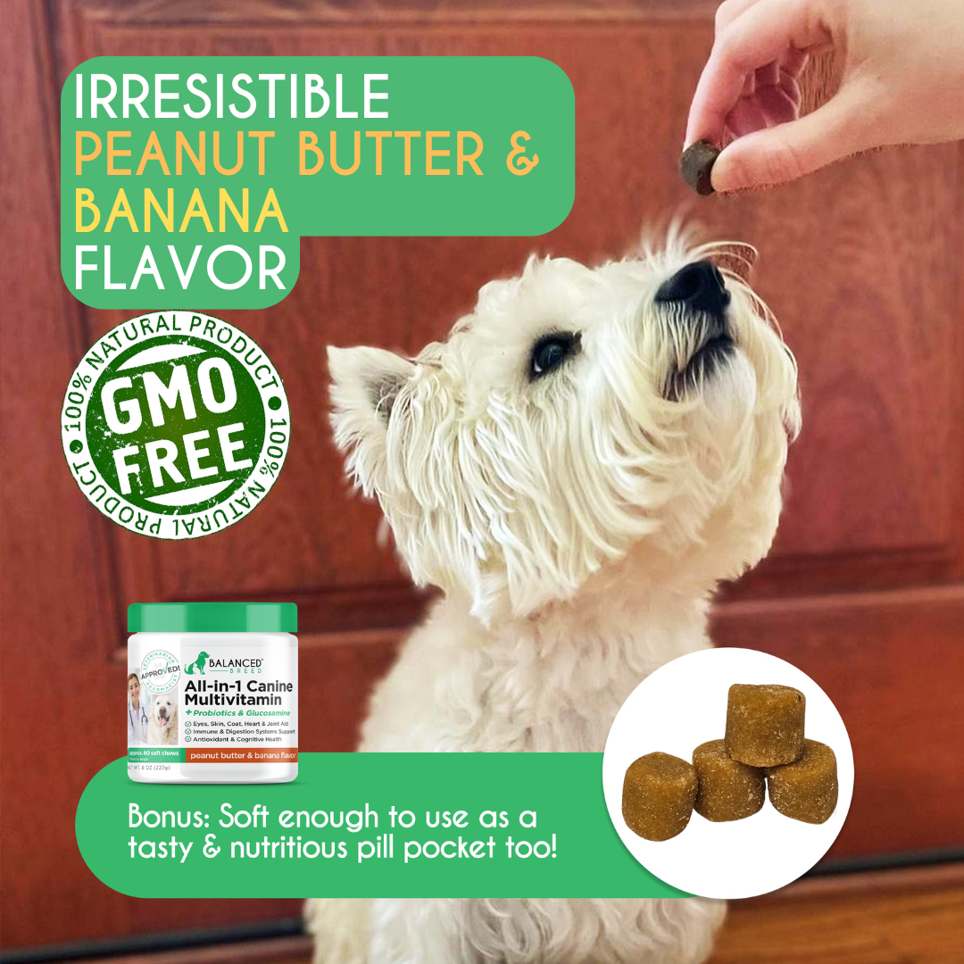 Balanced Breed® All-In-1 Canine Multivitamin
