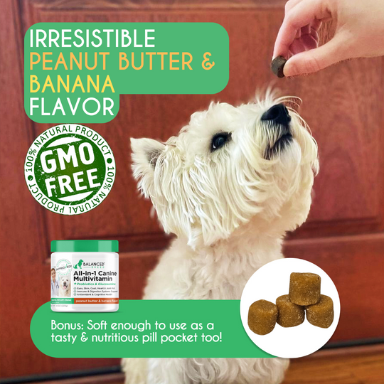 Balanced Breed® All-In-1 Canine Multivitamin