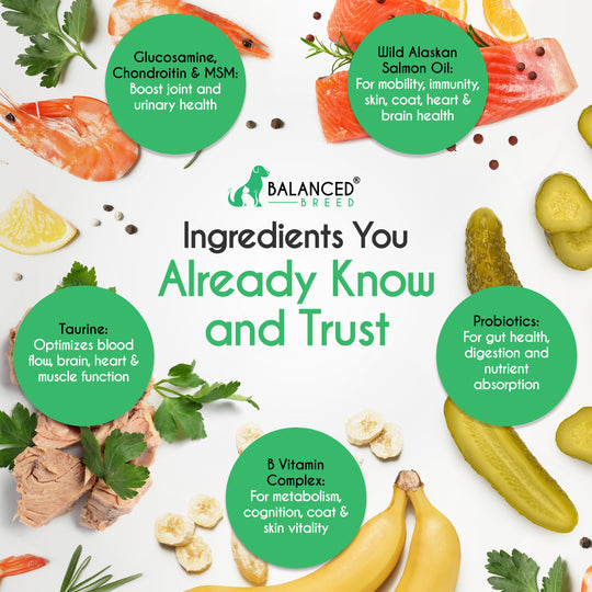 Balanced Breed® All-In-1 Canine Multivitamin - Balanced Breed