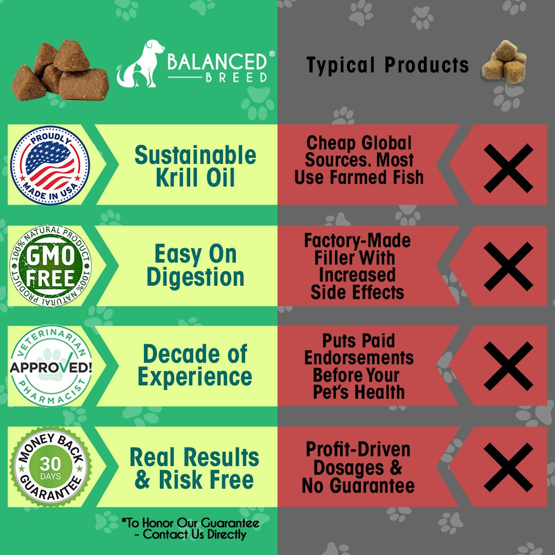 Balanced Breed® Cat L-Lysine Immune Support