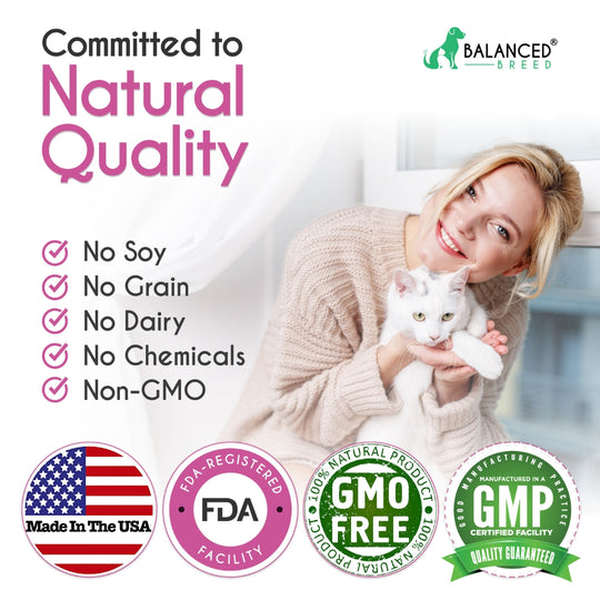 Balanced Breed® Cat L-Lysine Immune Support