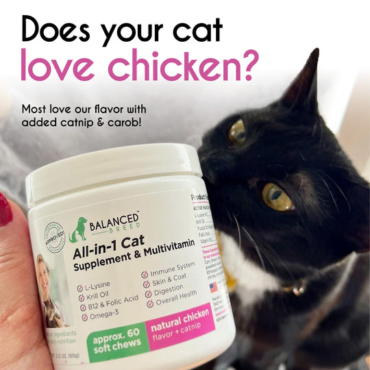 Balanced Breed® Cat L-Lysine Immune Support - Balanced Breed