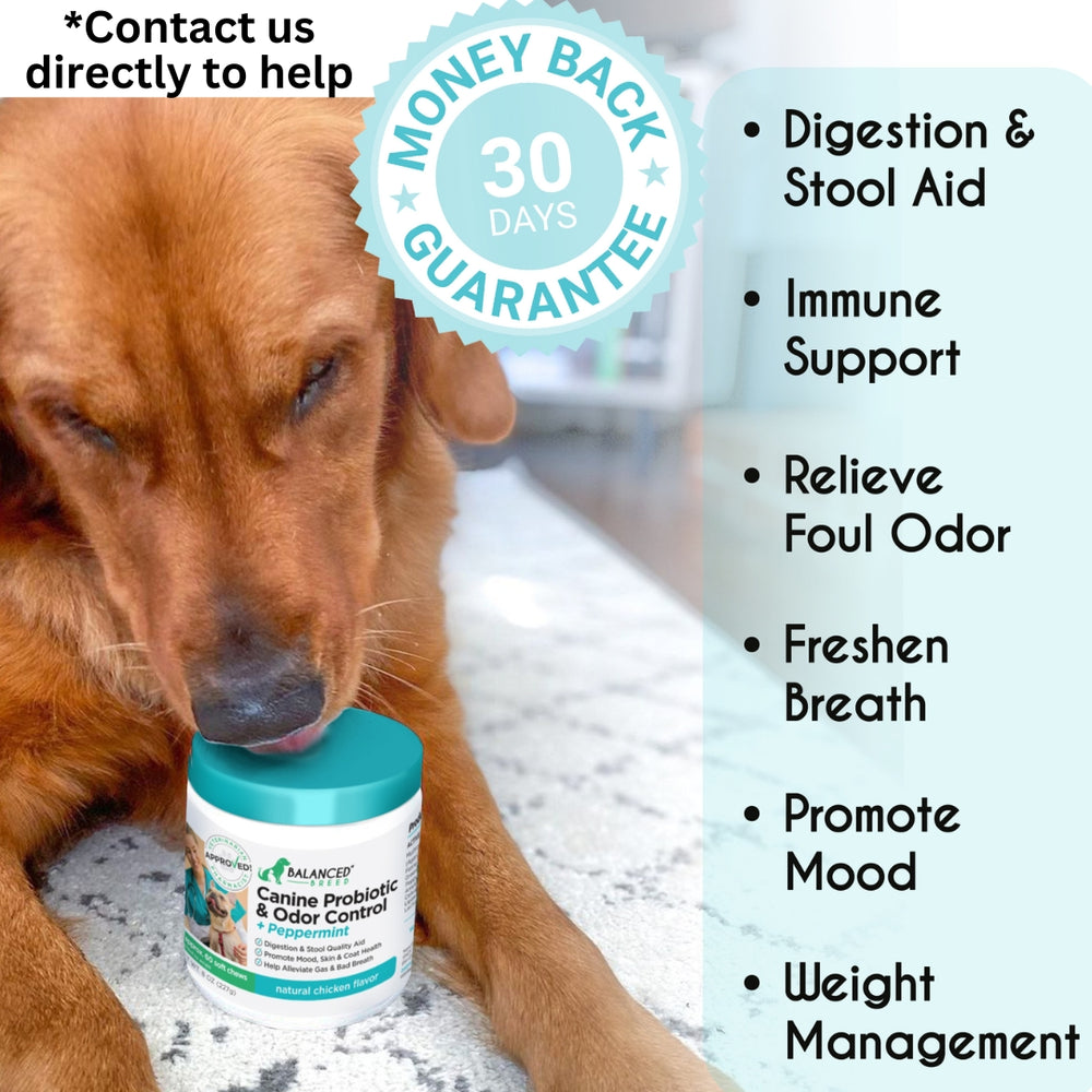 Balanced Breed® Canine Probiotic & Odor Control