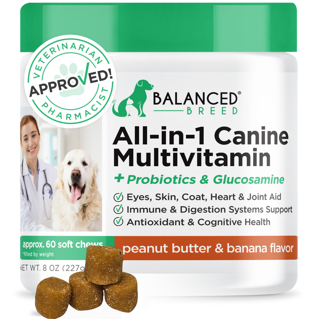 Balanced Breed® All-In-1 Canine Multivitamin - Main Image