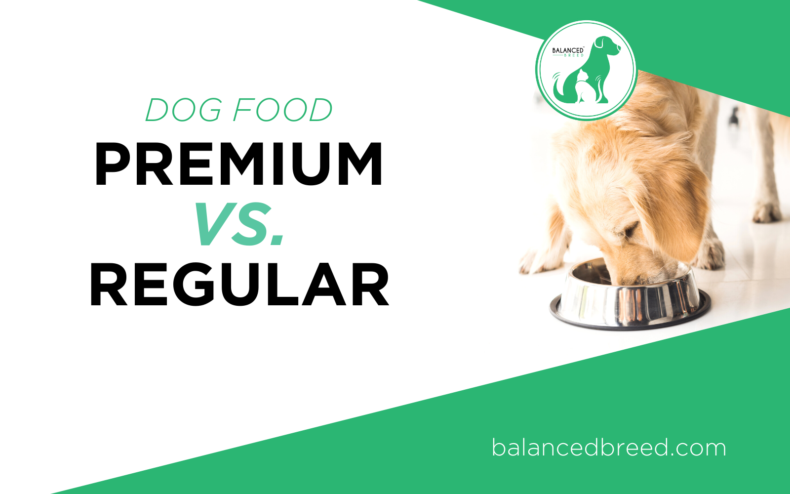 Premium Vs. Regular Dog Food: What You Need To Know