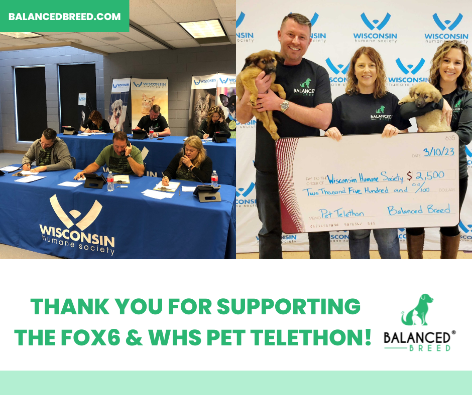 Balanced Breed Sponsors 2023 Fox6 News & WHS Pet Telethon