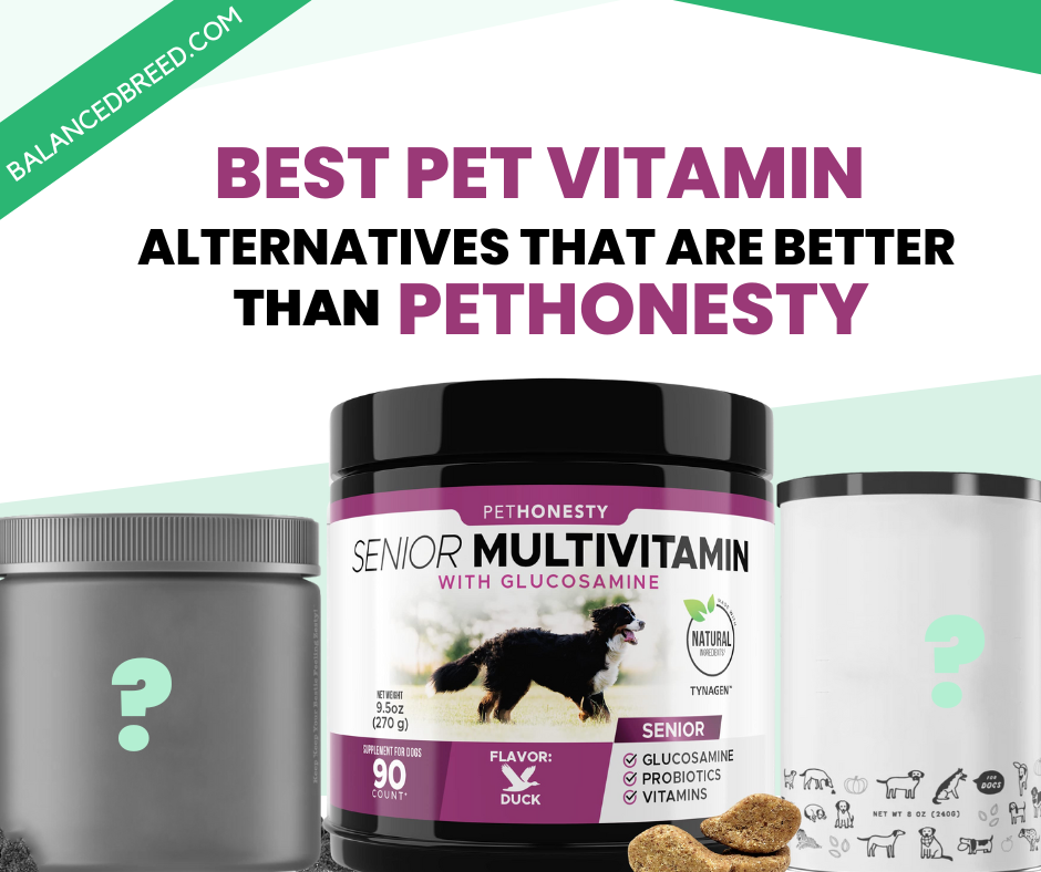 Healthy Paws: Best Alternatives to PetHonesty