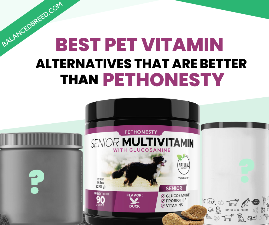 Best pet vitamin alternatives that are better than pethonesty