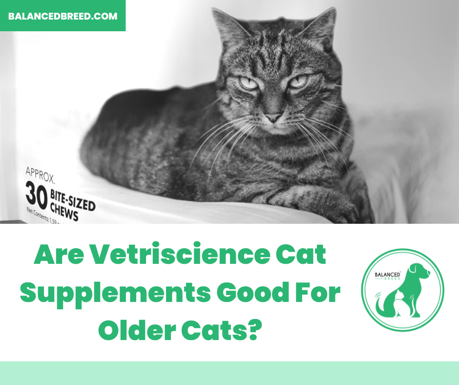 Are Vetriscience Cat Supplements Good For Older Cats?