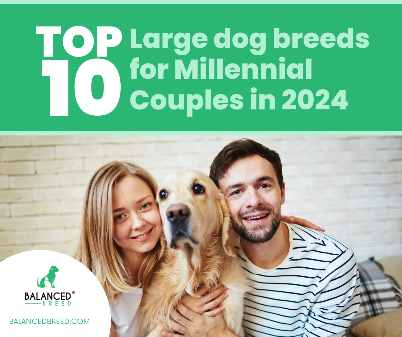 Top 10 Dog Breeds for Millennial Couples in 2024