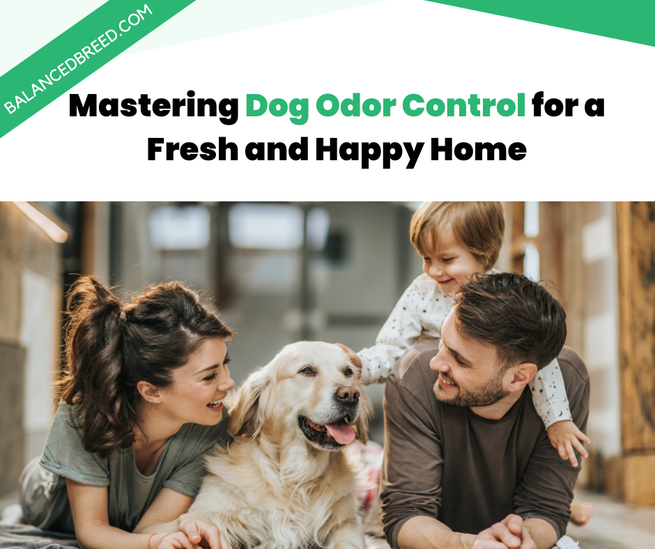 Mastering Dog Odor Control for a Fresh and Happy Home