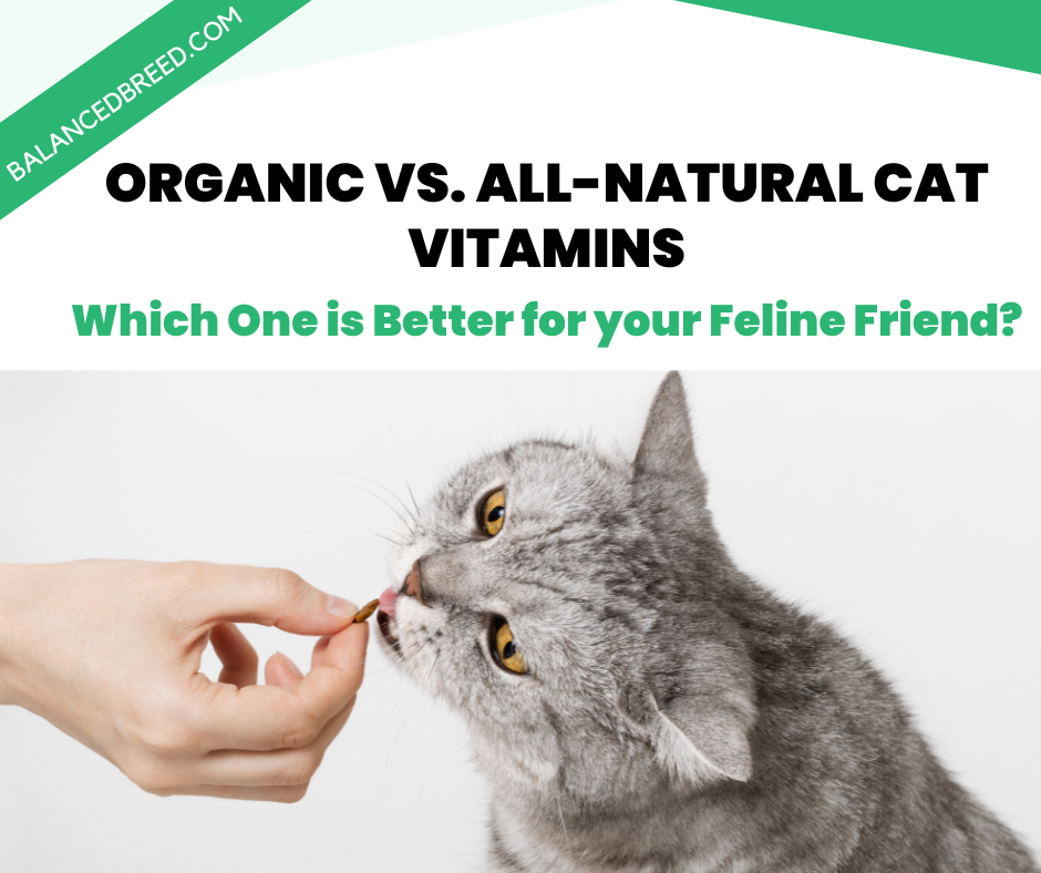 Organic vs. Natural Cat Vitamins: What’s the Difference and Which One is Right for Your Feline Friend
