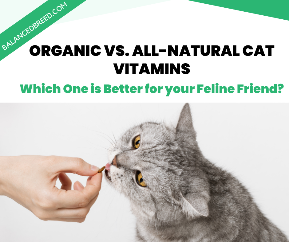 Organic vs. All-Natural Cat Vitamins: What’s the Difference and Which One is Right for Your Feline Friend