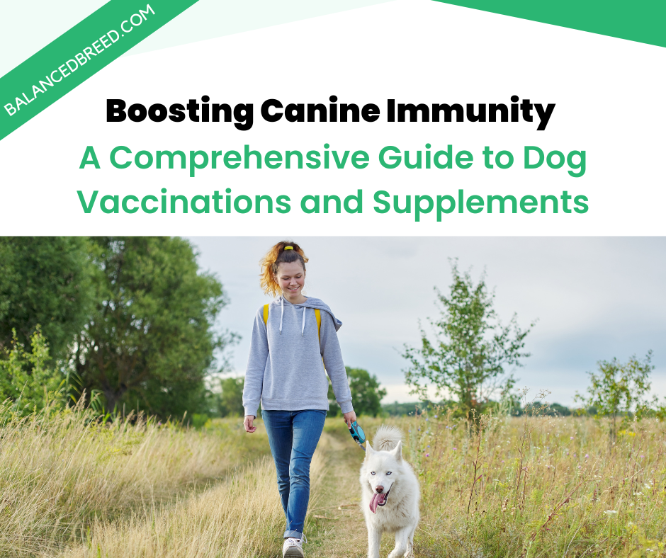 Boosting Canine Immunity: A Comprehensive Guide to Dog Vaccinations and Supplements