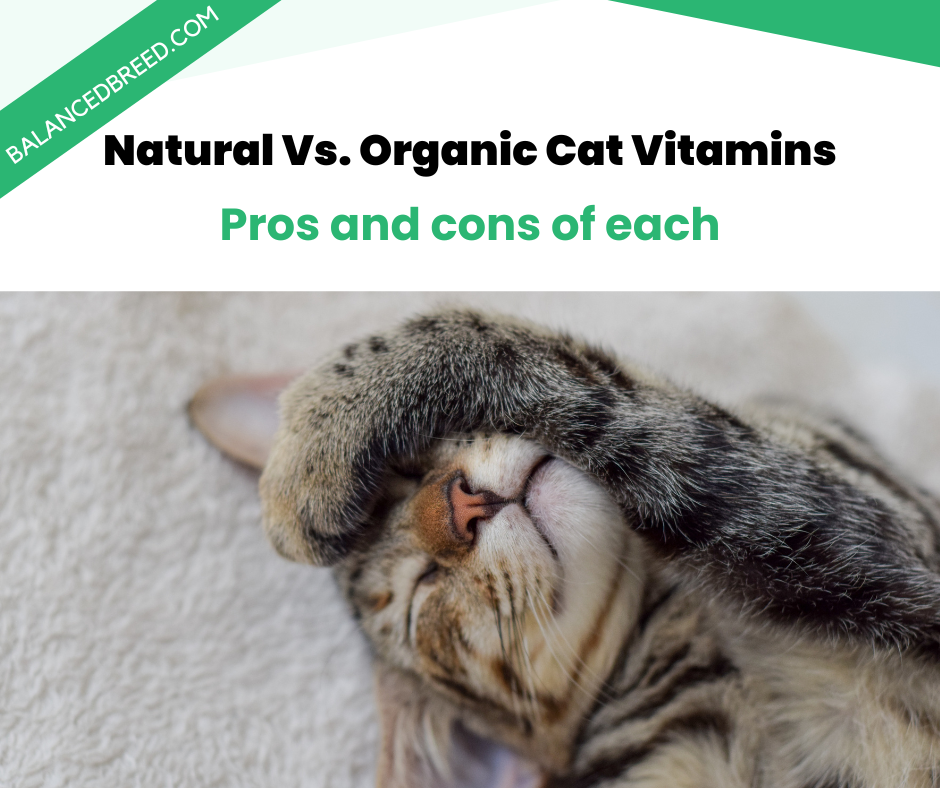 The Pros and Cons of Using Natural vs. Organic Cat Vitamins