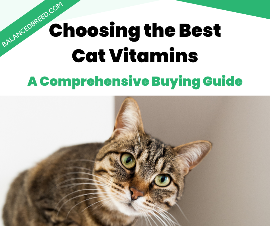 Choosing the Best Cat Vitamins: A Comprehensive Buying Guide