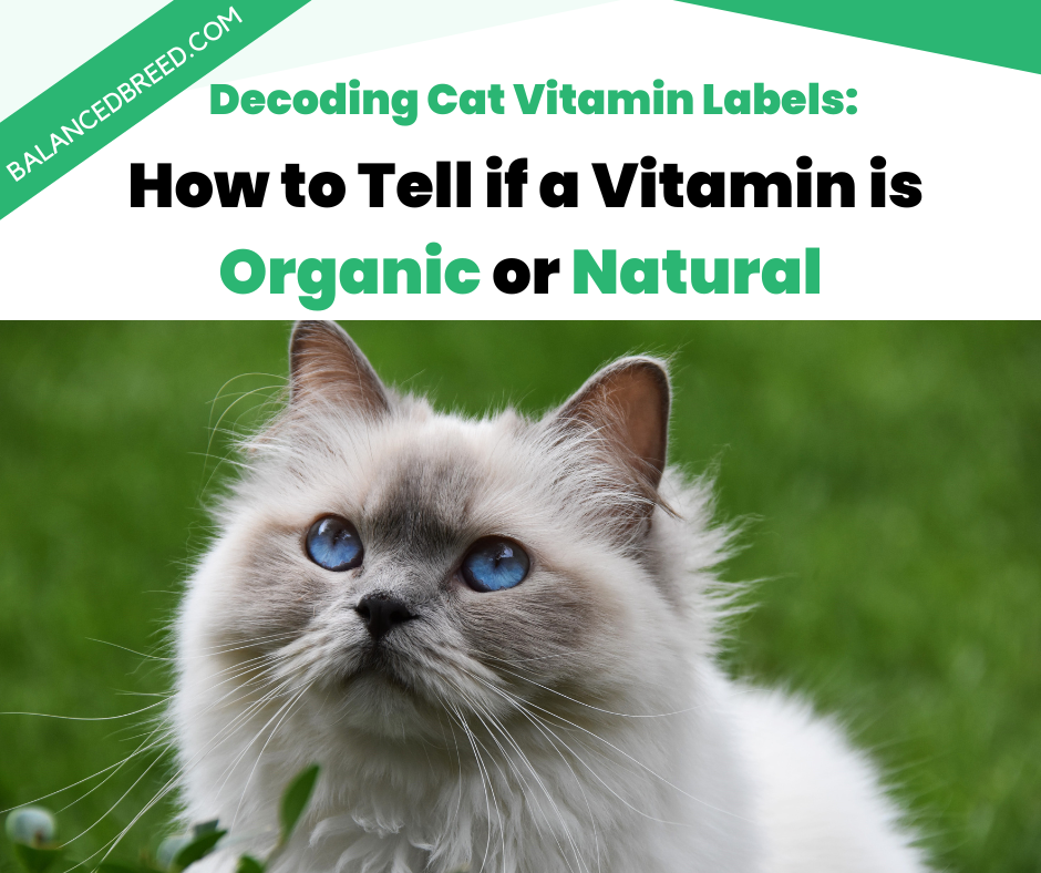 Decoding Cat Vitamin Labels: How to Tell if a Vitamin is Organic or All-Natural