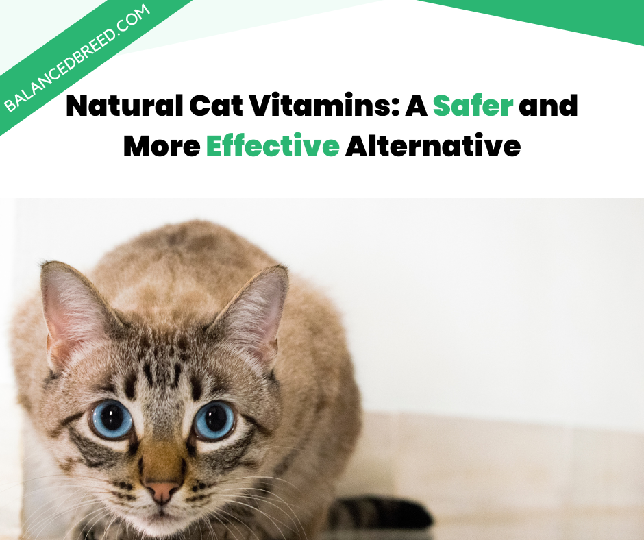 Natural Cat Vitamins: A Safer and More Effective Alternative