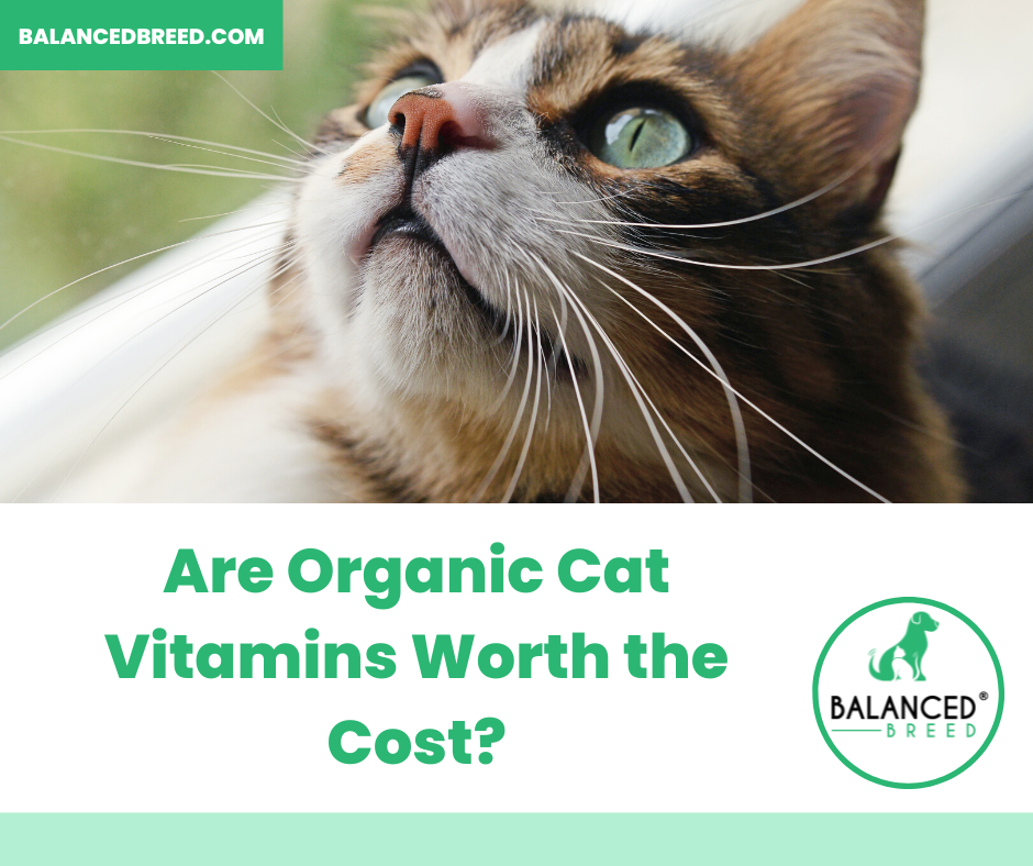 are organic cat vitamins worth the cost? 