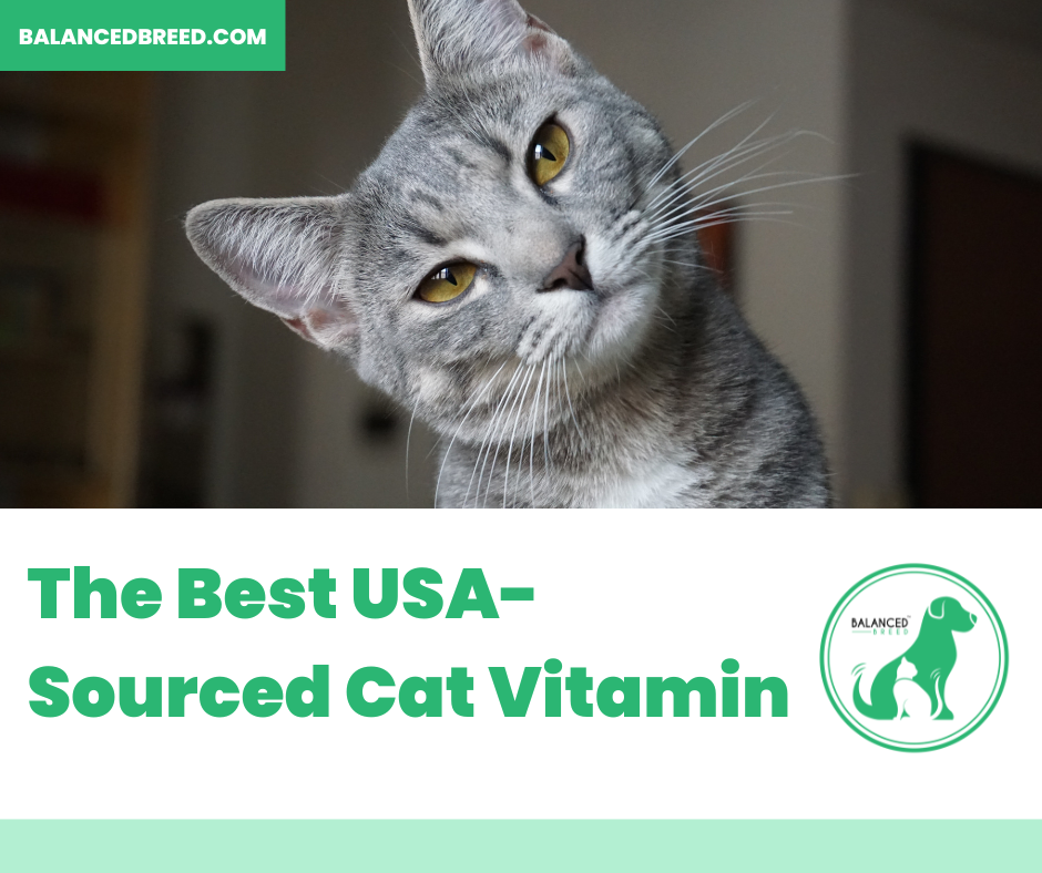 Balanced Breed: The Best USA-Sourced Cat Vitamin