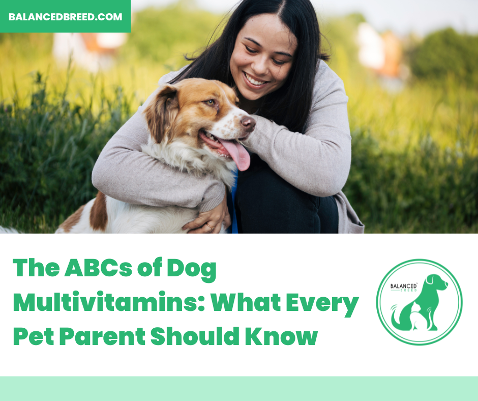 The ABCs of Dog Multivitamins: What Every Pet Parent Should Know