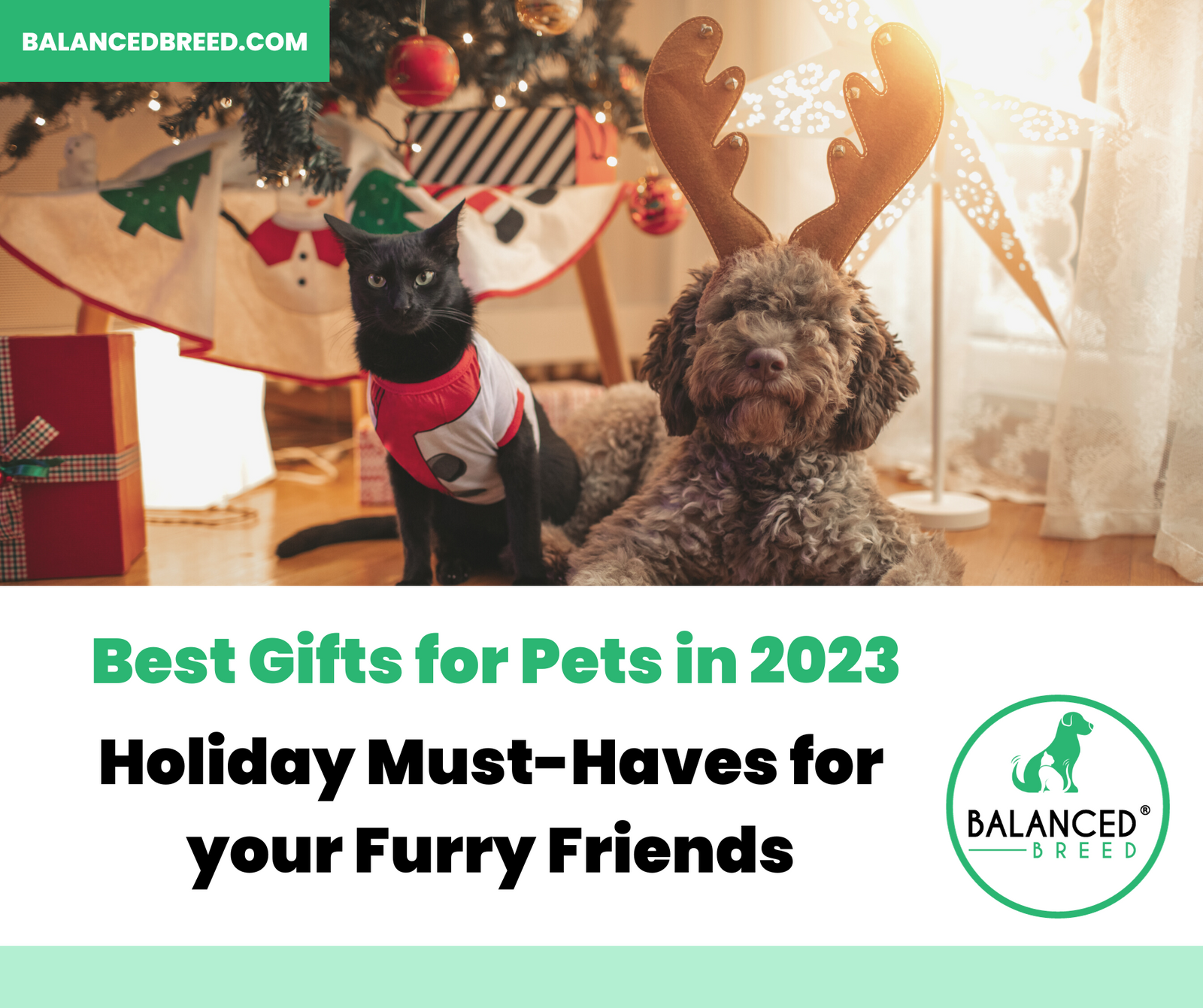 Best Gifts for Pets for the holidays in 2023