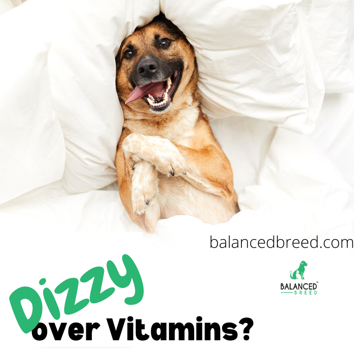 Are Vitamins Making you Dizzy?