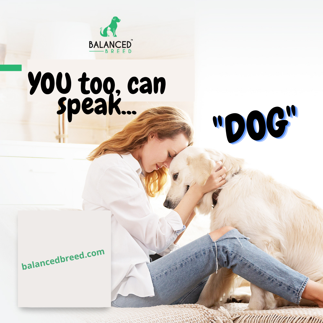 You too! Can speak, dog!