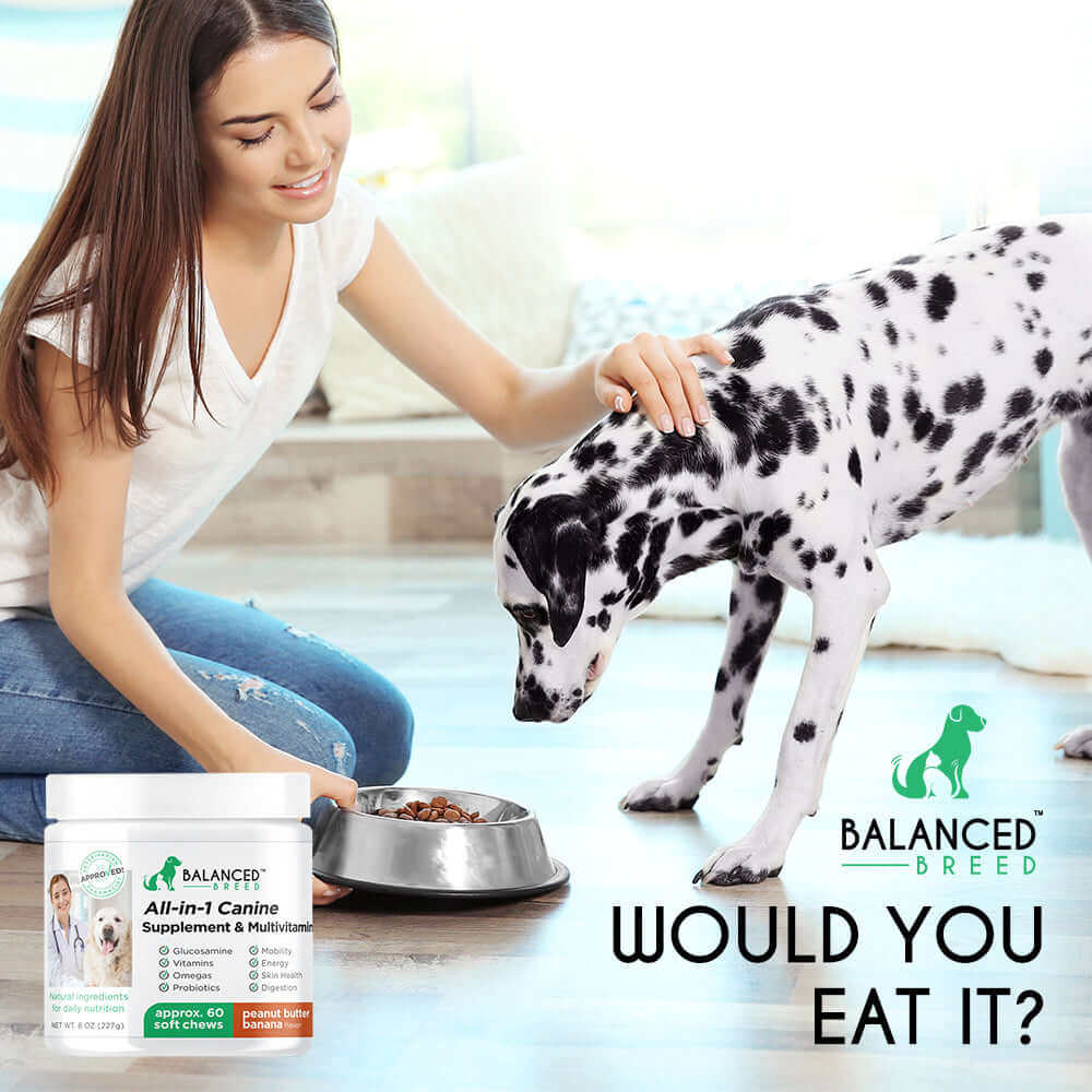 What Is In Dog Food Anyway?