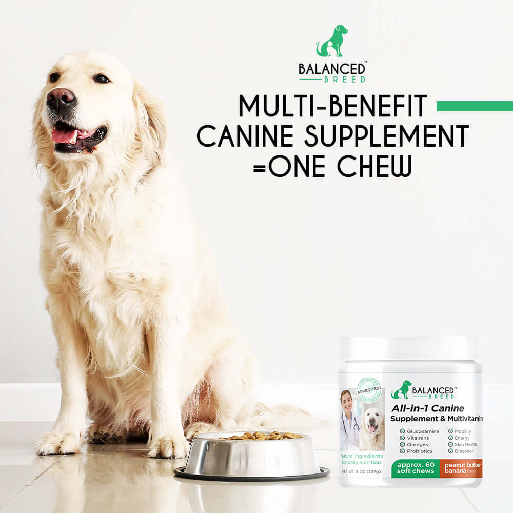 Does my dog need vitamins and supplements?