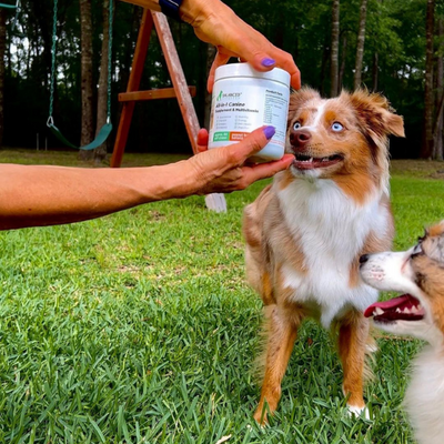 SHOP NOW: Balanced Breed Dog Vitamins