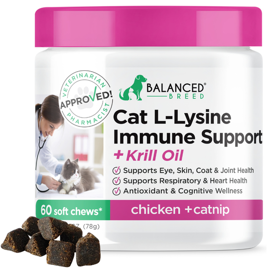 Balanced Breed® Cat L-Lysine Immune Support