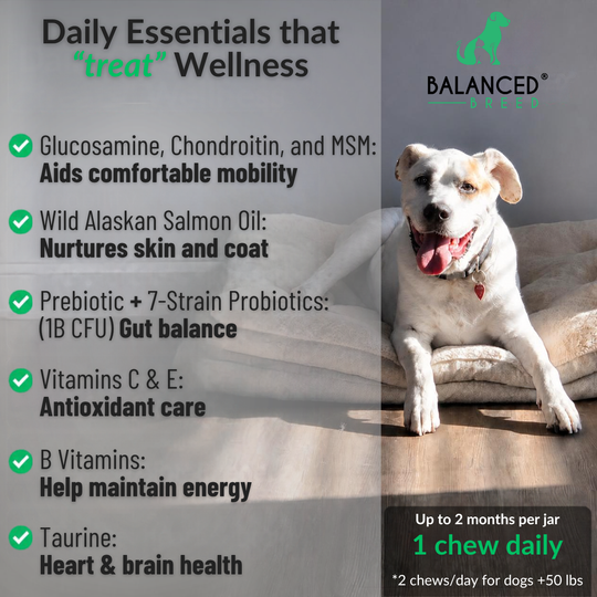 Balanced Breed® All-In-1 Canine Multivitamin