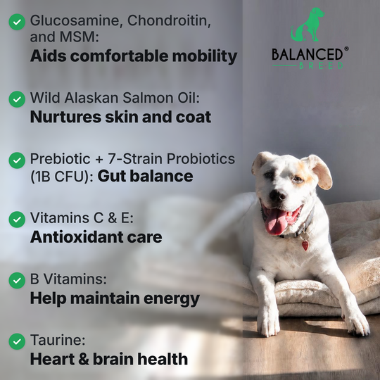 Balanced Breed® All-In-1 Canine Multivitamin