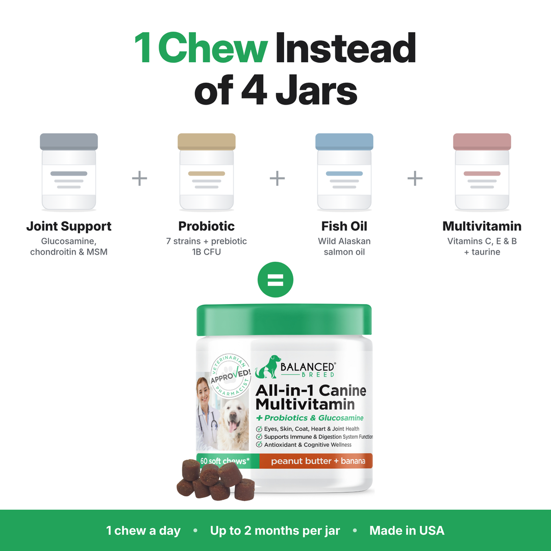 Balanced Breed® All-In-1 Canine Multivitamin