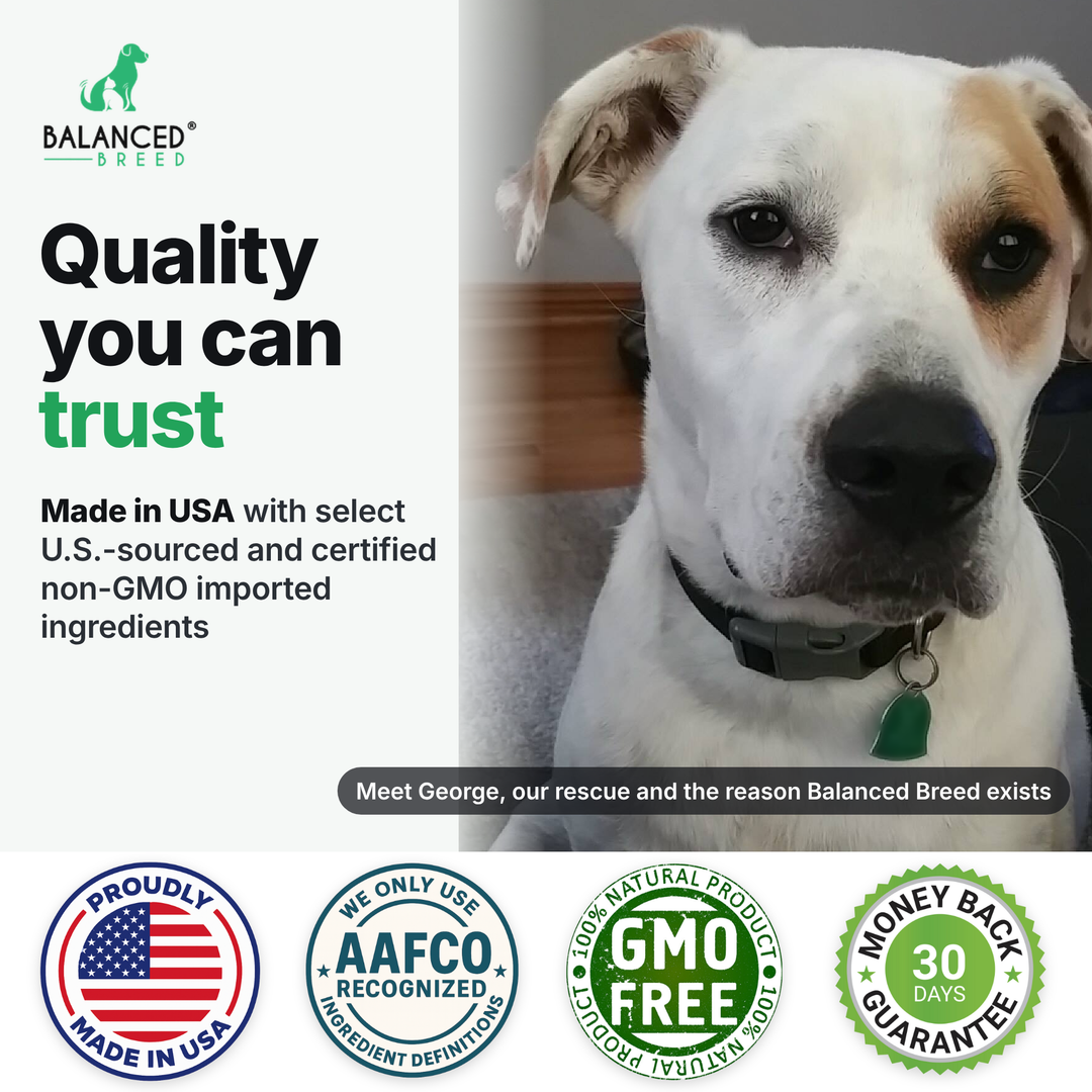 Balanced Breed® All-In-1 Canine Multivitamin