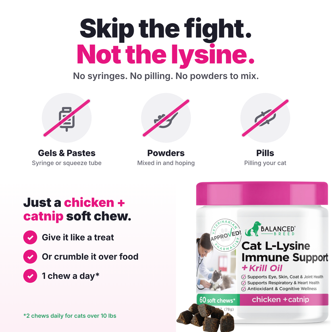 Balanced Breed® Cat L-Lysine Immune Support