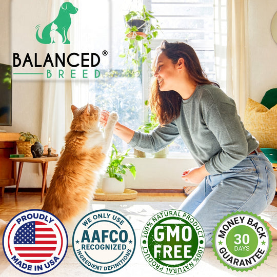 Balanced Breed® Cat L-Lysine Immune Support