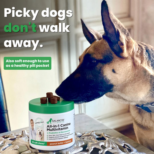 Balanced Breed® All-In-1 Canine Multivitamin