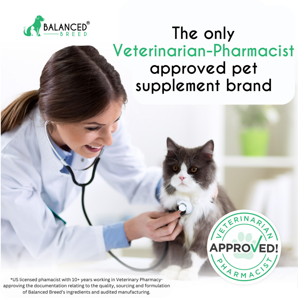 2 PACK: Balanced Breed® Cat L-Lysine Immune Support - Balanced Breed