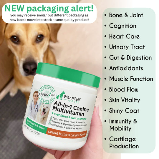 2 PACK: Balanced Breed® All-In-1 Canine Multivitamin