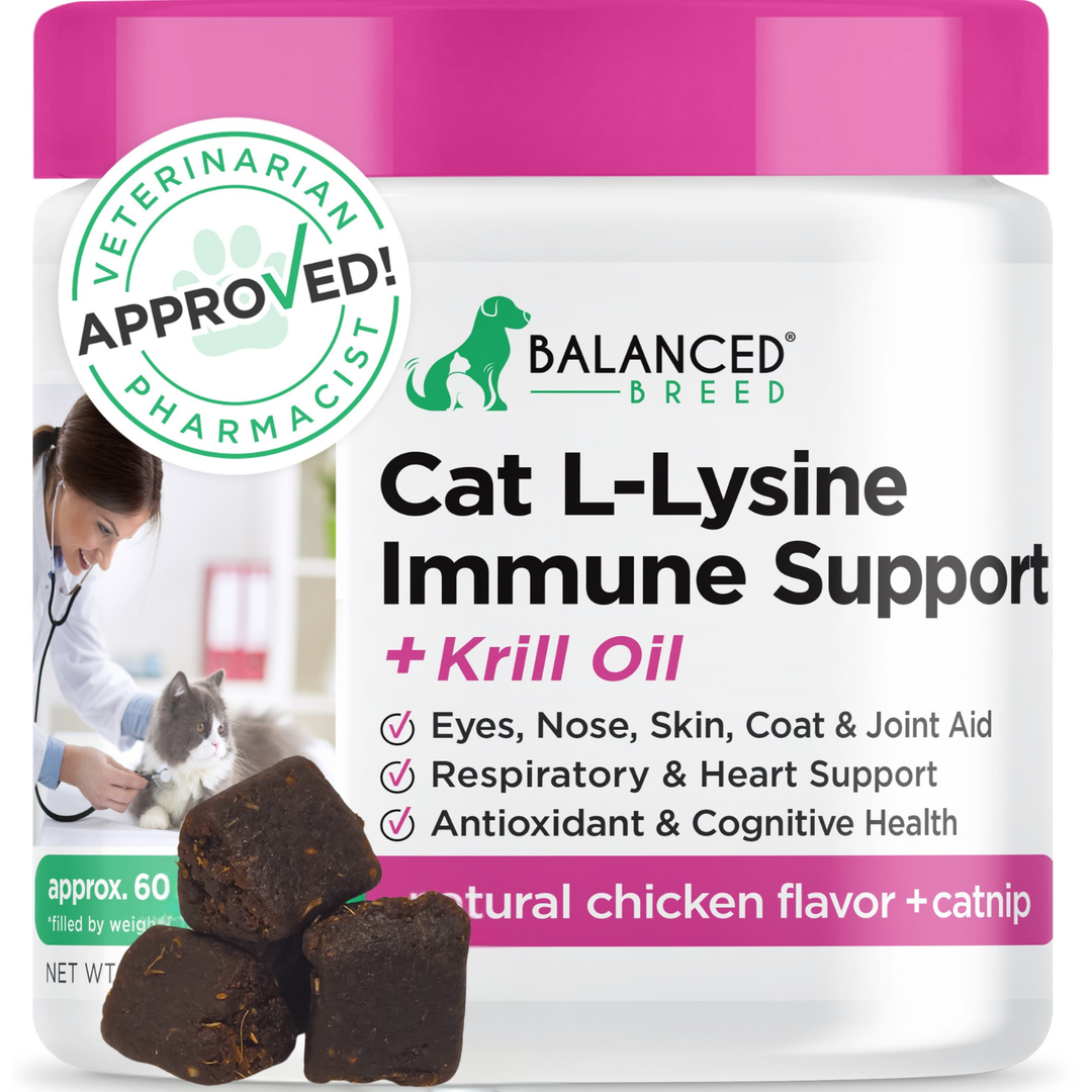 Balanced Breed Cat L-Lysine Immune Support Balanced Breed Cat L-Lysine Immune Support