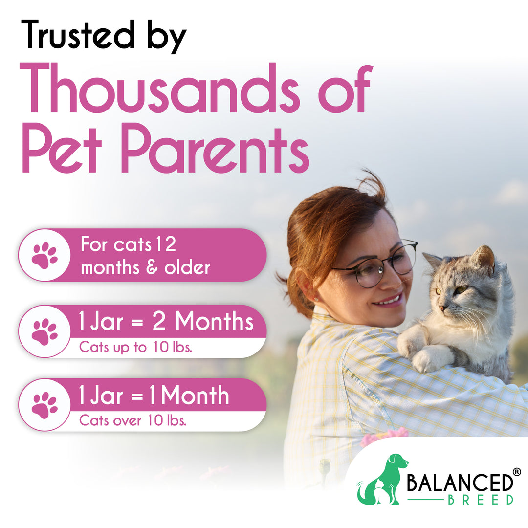3 PACK: Balanced Breed® Cat L-Lysine Immune Support - Balanced Breed