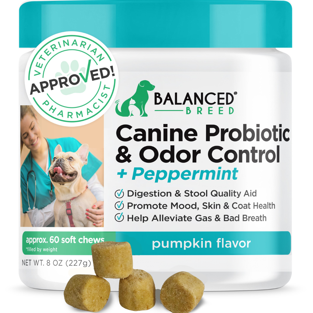 Balanced Breed® Canine Probiotic & Odor Control